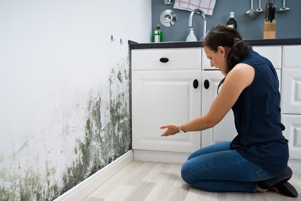 Homeowner inspecting black mold growth spreading along a kitchen wall