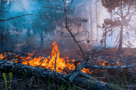 Wildfires are increasing and costs of material...